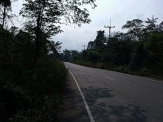 d0144077_25685.jpg