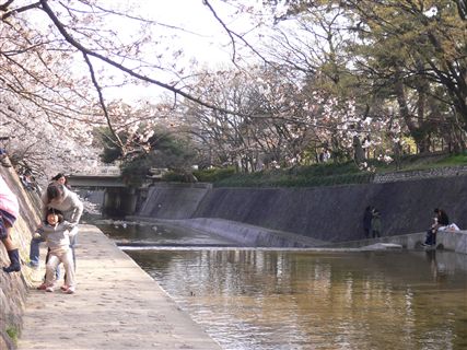 f0001378_20441069.jpg