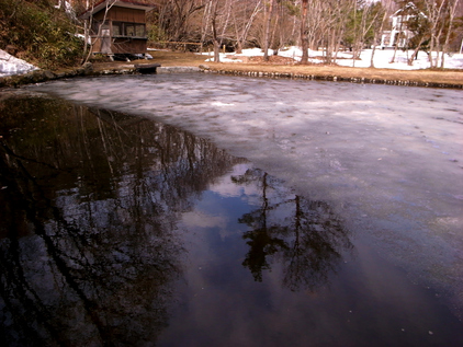 c0172882_13262.jpg