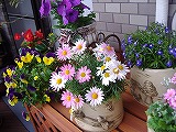 a0142083_21563296.jpg