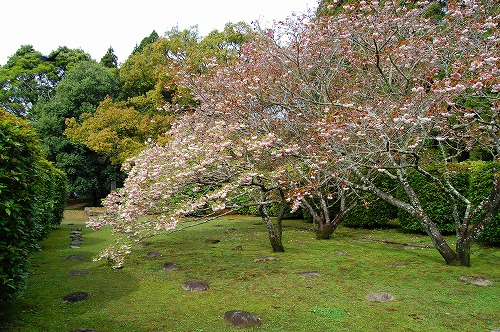 d0114583_1371078.jpg