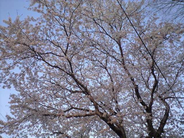 f0051283_22362371.jpg