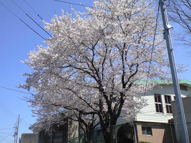 f0051283_23315458.jpg