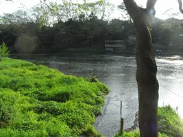 f0153383_19505959.jpg