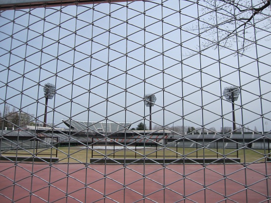b0076384_10098.jpg