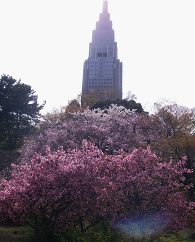 c0188784_15374148.jpg