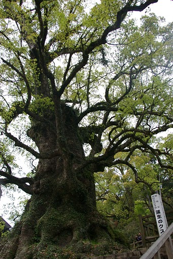 f0237689_19263084.jpg