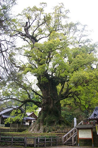 f0237689_1938591.jpg