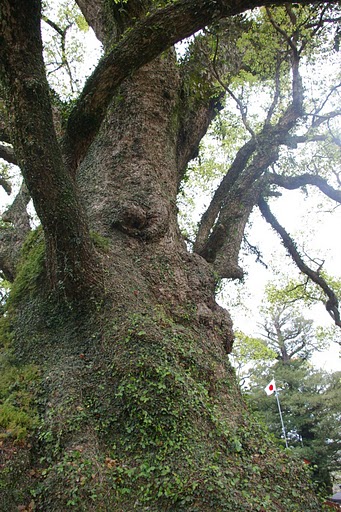 f0237689_1940059.jpg