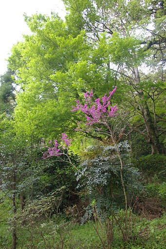 f0237689_19533082.jpg
