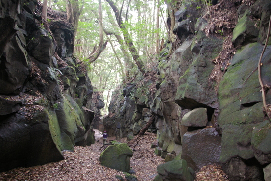 f0237689_21251596.jpg