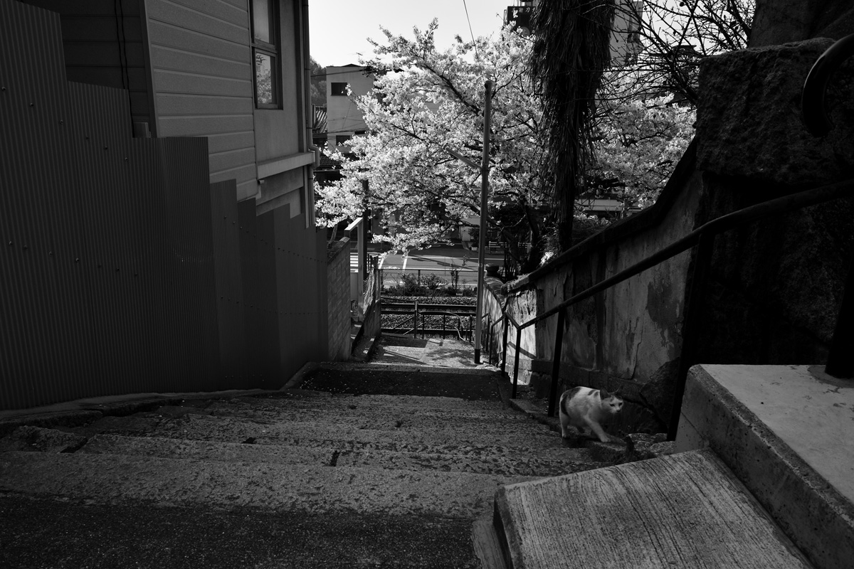 d0142891_19181997.jpg