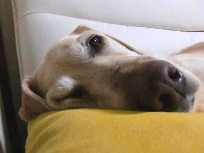 c0028792_224368.jpg