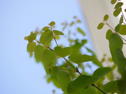 a0133493_11135621.jpg