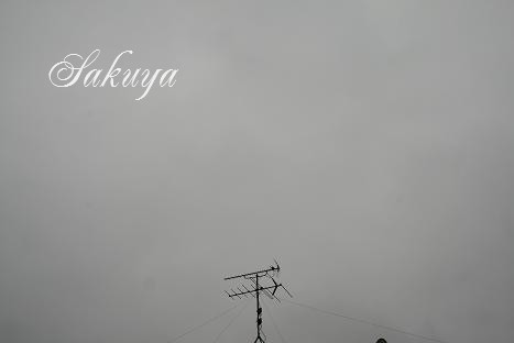 e0122194_1945242.jpg