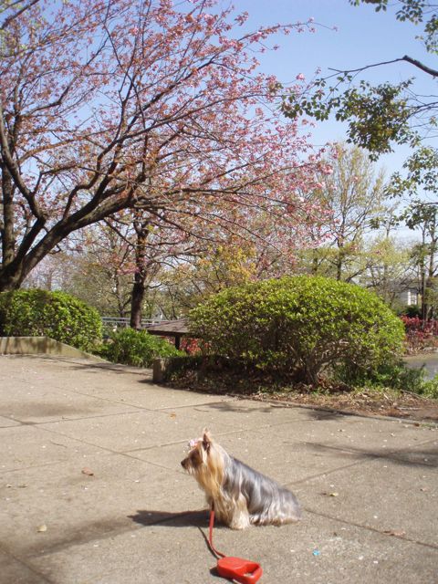 f0130894_22191697.jpg