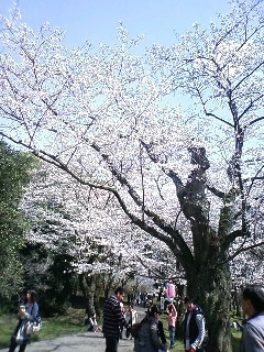 b0162000_8594352.jpg