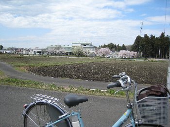 e0033301_18494274.jpg