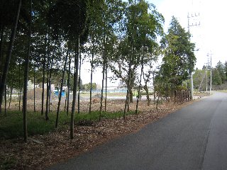 e0033301_1851111.jpg