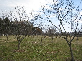 e0033301_18515911.jpg