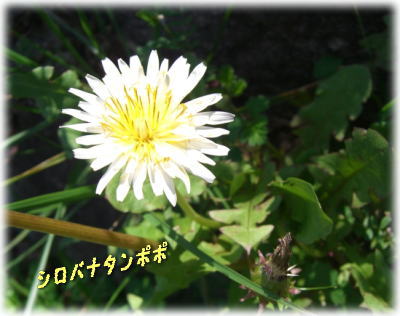 a0075802_2158558.jpg