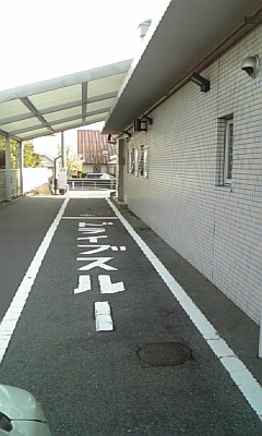 a0149502_12214120.jpg