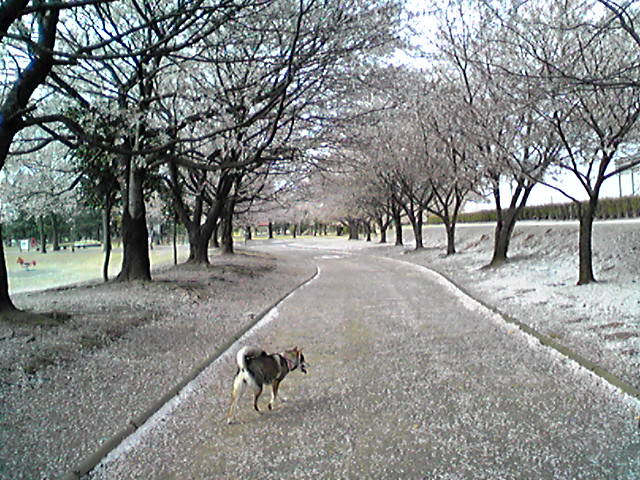 f0079202_18312521.jpg