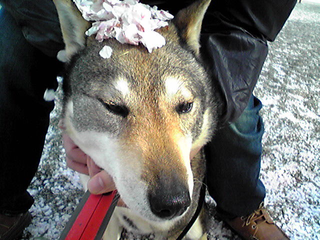 f0079202_18312540.jpg