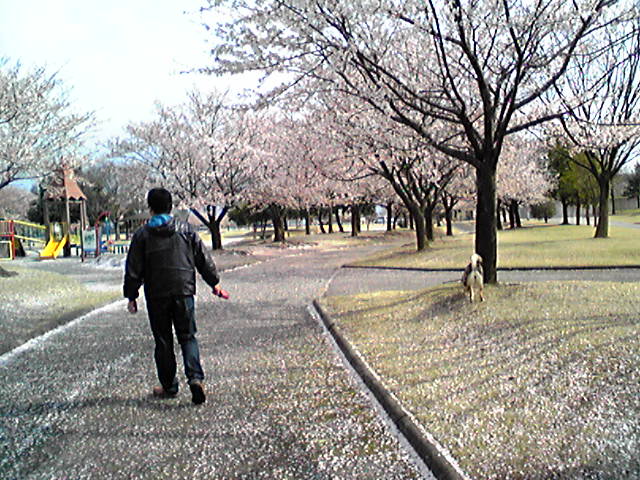 f0079202_18312556.jpg