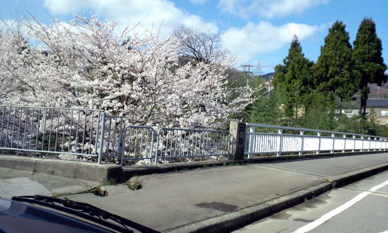 d0093903_23293984.jpg