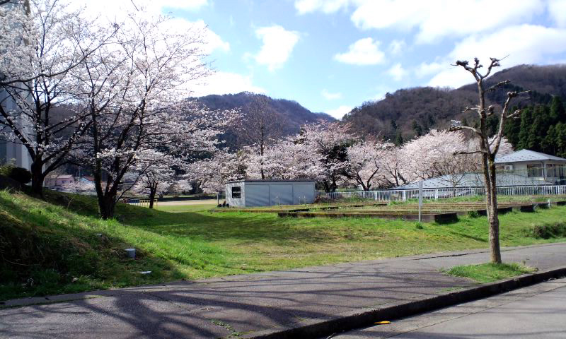 d0093903_23303296.jpg