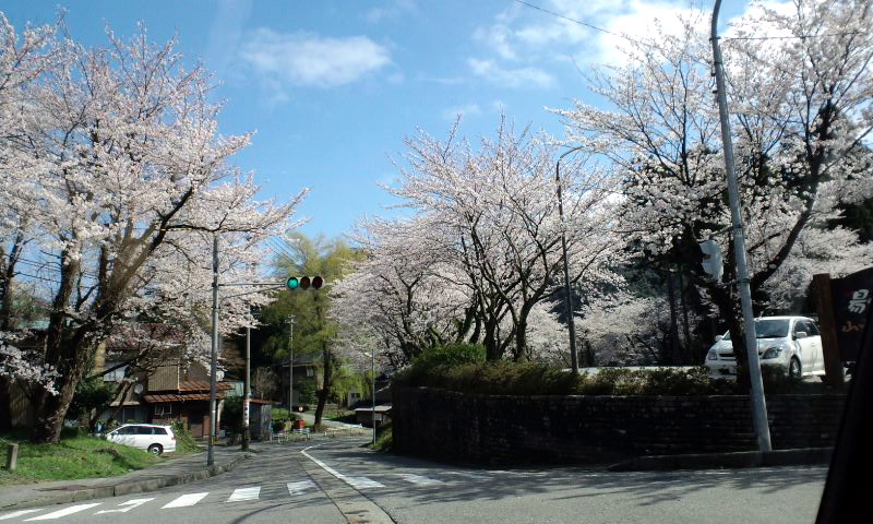 d0093903_2332676.jpg
