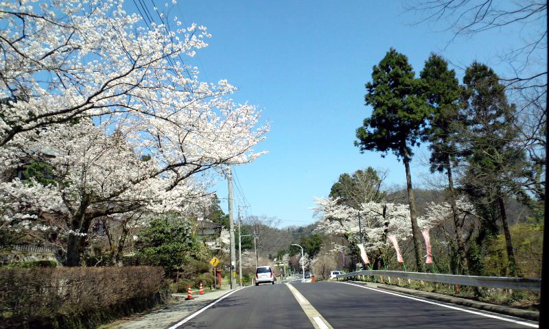 d0093903_2335427.jpg