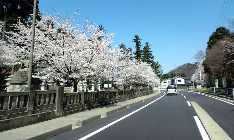 d0093903_2336764.jpg