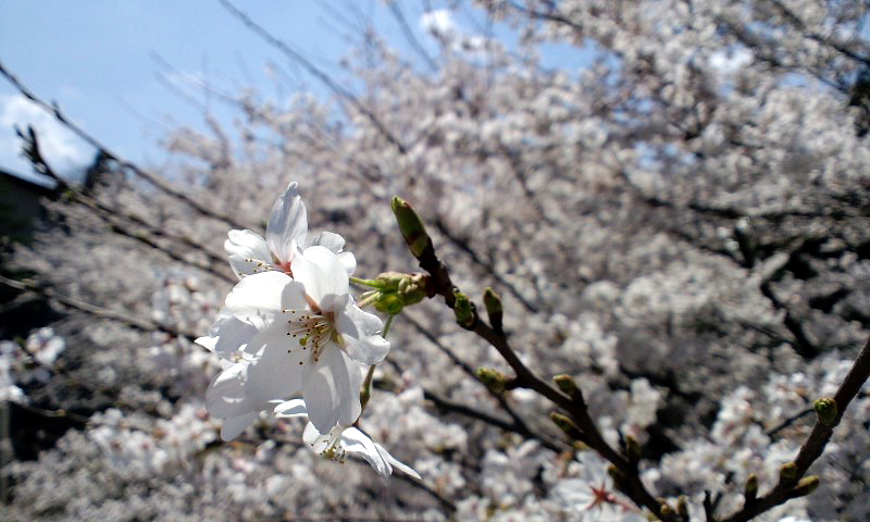 d0093903_23393336.jpg