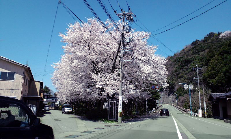 d0093903_2343431.jpg