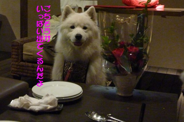 e0018604_14112261.jpg