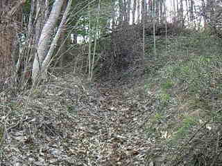 c0126205_1531382.jpg