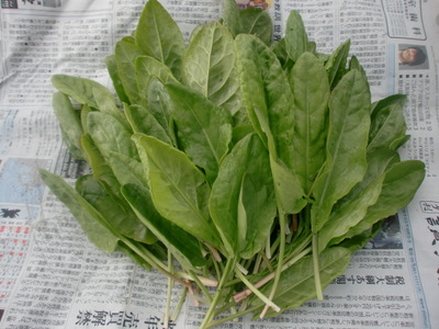 f0144707_1951622.jpg