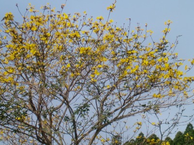 e0027508_841487.jpg