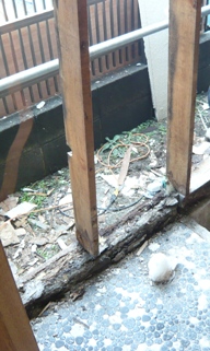c0022913_1558826.jpg