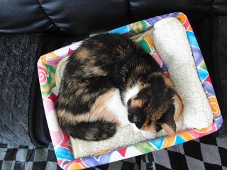 c0201113_23234630.jpg