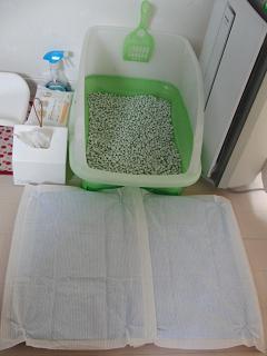 c0201113_23282287.jpg
