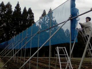 f0031013_13442421.jpg