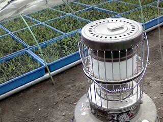 f0031013_1346412.jpg