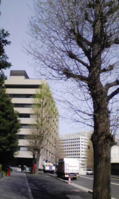 e0009714_8341162.jpg