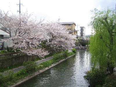 c0054118_2205123.jpg