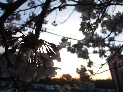 a0157619_224157.jpg