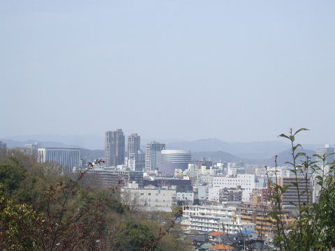 a0157619_22432973.jpg