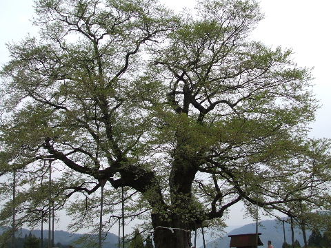 a0157619_23153296.jpg